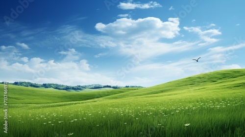 a verdant green meadow with a solitary bird in flight, its wings creating a graceful arc against the azure sky, 
