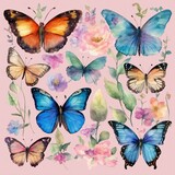 butterflies  clipart