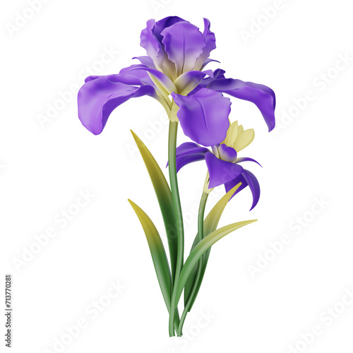 Purple iris flower with leaves isolated on a transparent background. photo