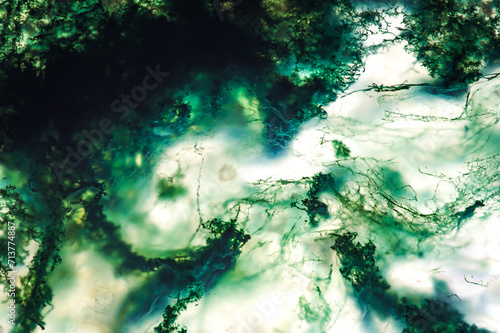 moss agate detail. macro texture background. close-up polished semi-precious gemstone.