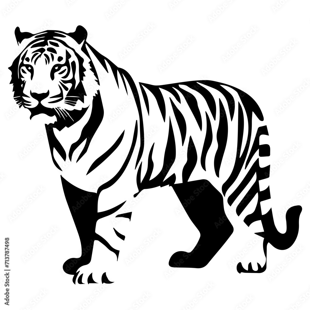 white tiger illustration