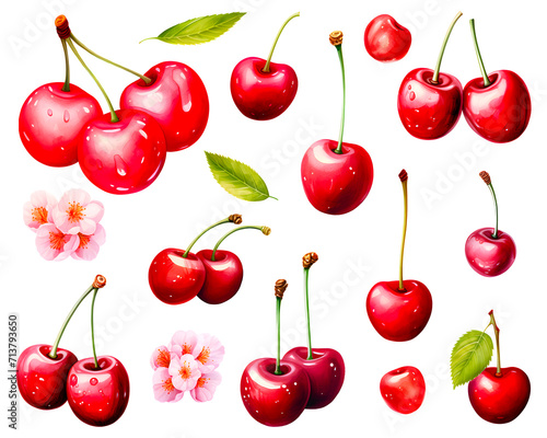 Watercolor painting of a cherry red fruits with green leaves and pink blooming flowers set isolated on white background. Cut out PNG illustration on transparent background. 
