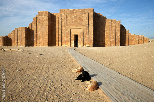 Dogs in front of the monumental entrance of the step pyramid complex of King Djoser, 3rd Dynasty. Saqqara, Egypt