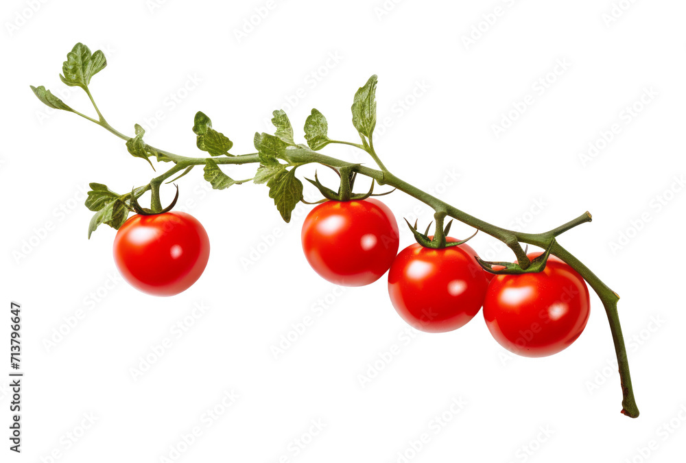 cherry tomato isolated on transparent background cherry tomato isolated on transparent background