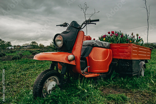 A scooter with flowers in the back stands in a field