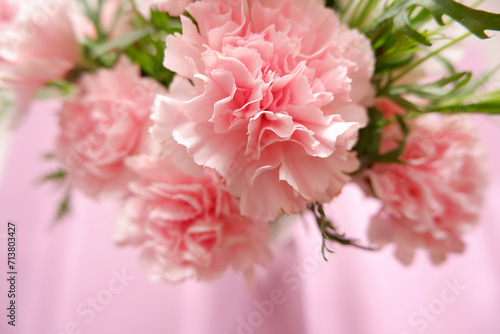 Beautiful pink carnation flowers on pink background. Closed up pink carnation image for mother's day, Women's day, wedding and celebration. 