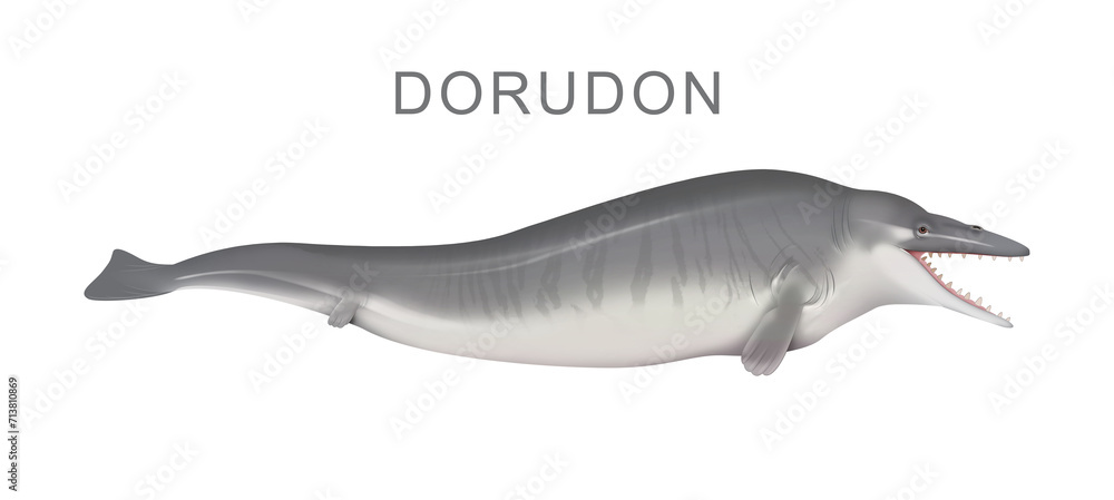 Fototapeta premium Illustration of the ancient whale Dorudon