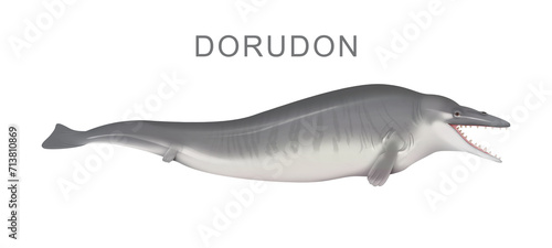 Illustration of the ancient whale Dorudon