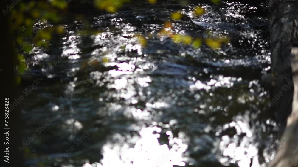 Autumn forest river flows, yellow leaves on the trees in the bokeh. Autumn season, golden autumn in forest. Autumn forest river flows, yellow leaves on the trees in the bokeh. Autumn season, golden autumn in forest.