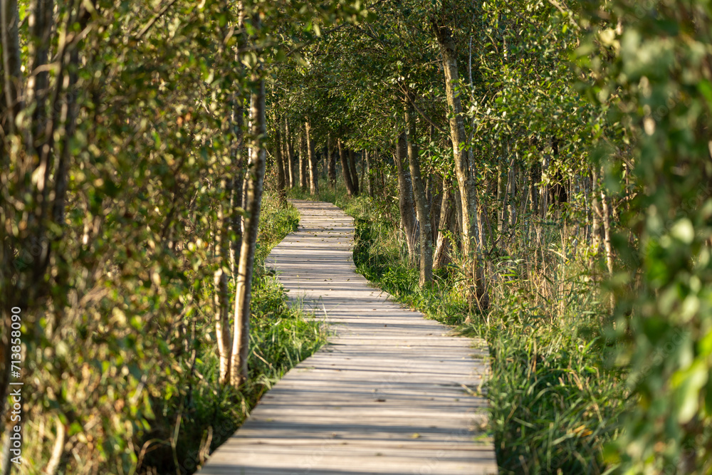 Obraz premium Nationalparks Vorpommersche Boddenlandschaft Fischland Zingst Darß, Mecklenburg-Vorpommern