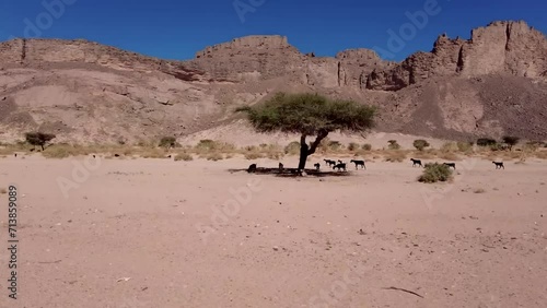 The Sahara desert is the largest hot desert in the world. The Sahara desert covers 10 different countries The Sahara desert has dry valleys, mountains, salt flats, barren and rocky plateaus, and sandu photo