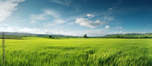 natural scenic panorama green field.Landscape view of green grass on slope with blue sky and clouds background.