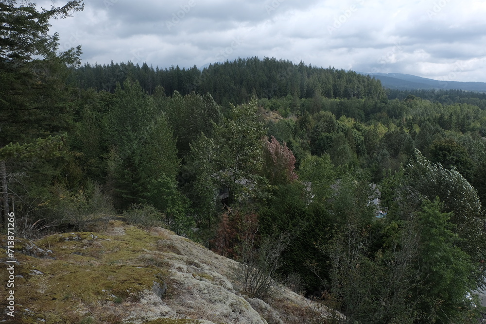 Natural variety that is observable in a deep forest, in West Canada. Vancouver. Early morning and daytime. Natural variety that is observable in a deep forest, in West Canada. Vancouver. Early morning and daytime.