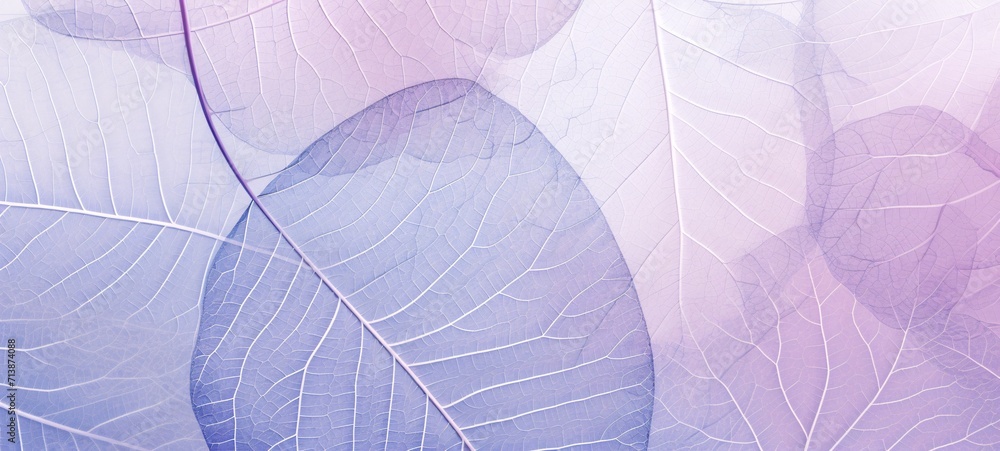 close up of leaf texture in soft color and blur style for background
