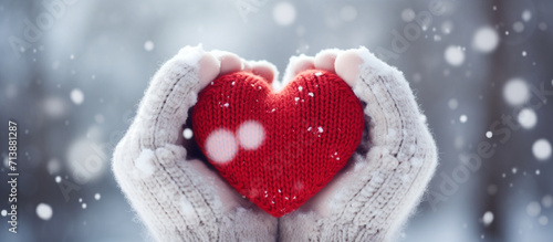 Winter Romance Embracing Love in Mittened Hands Snowy Affection Heartwarming Winter Moments