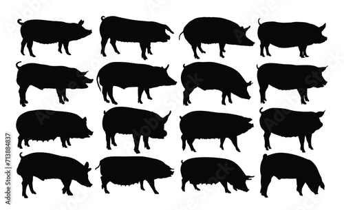 The big set of silhouettes domestic pigs.
