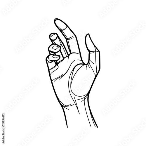 Contour vector image of a hand.