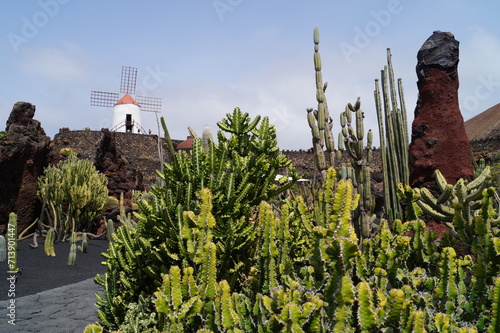 Lanzarote - paesaggio vulcanico photo