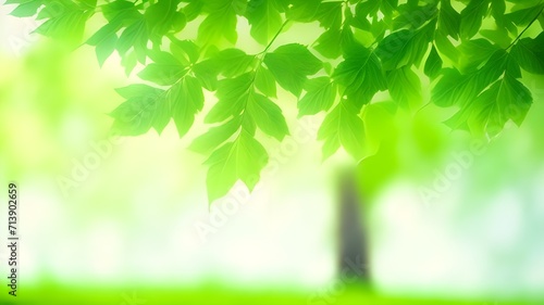 Blurry Tranquility: A Green Leaves Branch Embraced by a Subtle Blur.