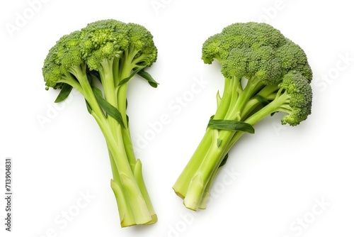 Short-cut broccoli stalks isolated on white background.