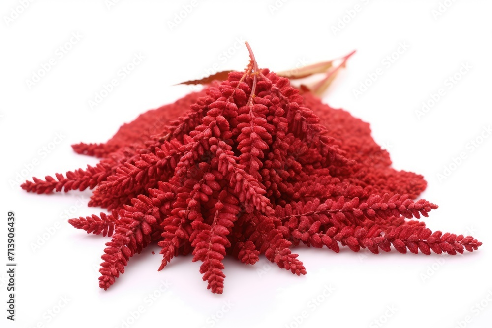 Naklejka premium Isolated sumac grains and flowers on white background Spice seeds of Rhus coriaria