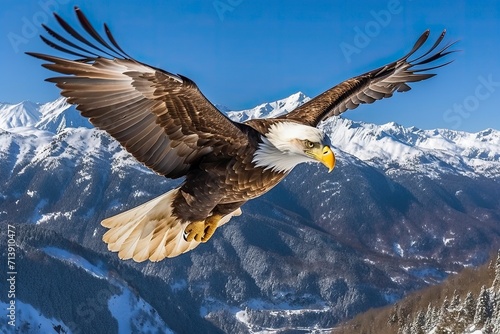 Bald eagle Flying over the Mountain © NabilBin