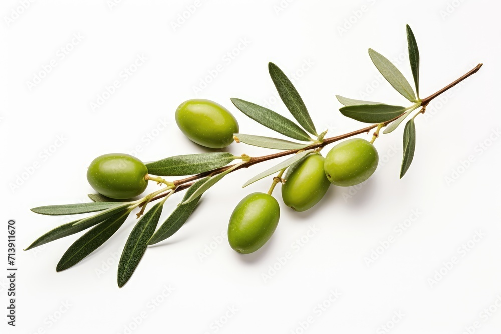 Olive branch green olives isolated on white Olive branch green olives isolated on white