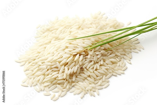 White background paddy jasmine rice ears with empty area