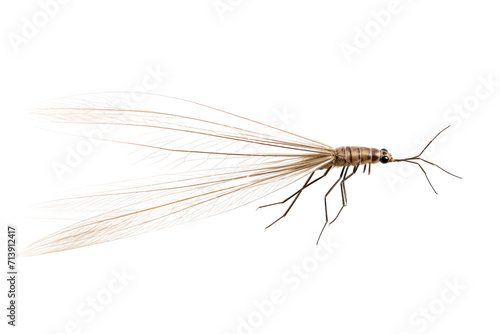 Crane Fly Larva Isolated on Transparent Background