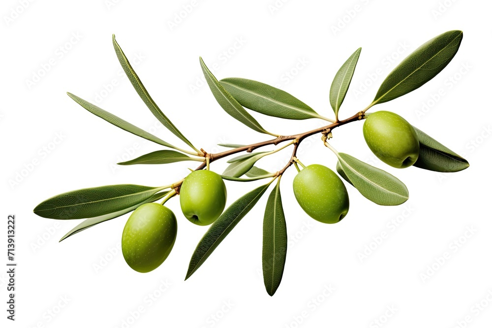 Isolated green olives with leaves on white background Isolated green olives with leaves on white background