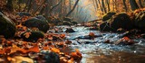 Forest river in the autumn forest Autumn forest river stream River stream in autumn Autumn forest stream. Creative Banner. Copyspace image