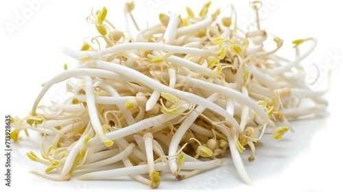 Bean sprouts on isolated white background. photo