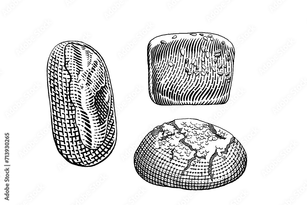 hand drawn vector sketch illustration of fresh bread, bakery, bread. hand drawn vector sketch illustration of fresh bread, bakery, bread.