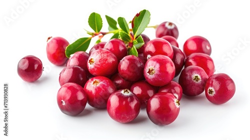 cranberry on isolated white background.