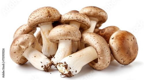 Fatty mushrooms on isolated white background.