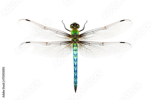 Green Darner Dragonfly Isolated on Transparent Background