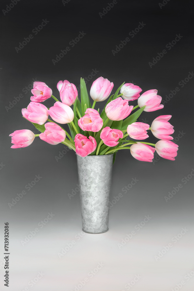 Fototapeta premium Spring pink tulip flower arrangement in metal vase on gradient black white background. Spring, Mothers Day, Anniversary and Easter floral nature design.
