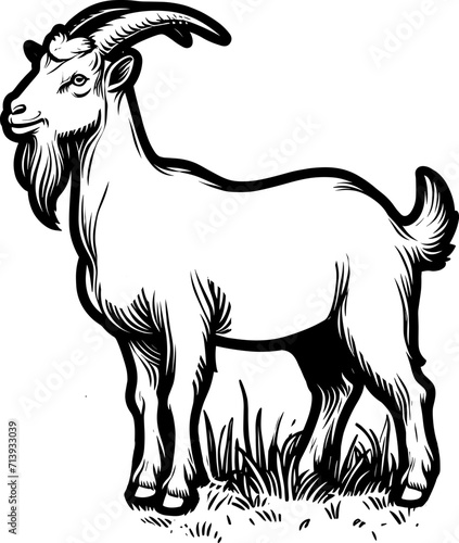 goat illustration for coloring book