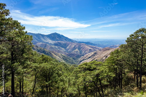Scenic view of lush green pine trees with majestic mountain ranges under blue sky. At San Nicolas, Pangasinan, part of the Cordillera mountains.