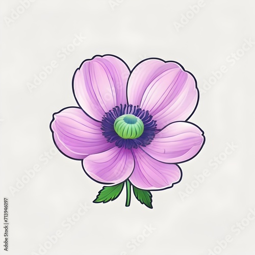 Anemone