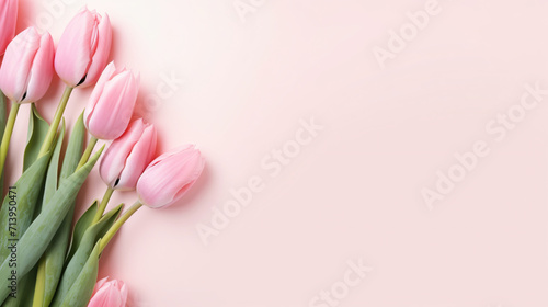 Pink tulips flowers