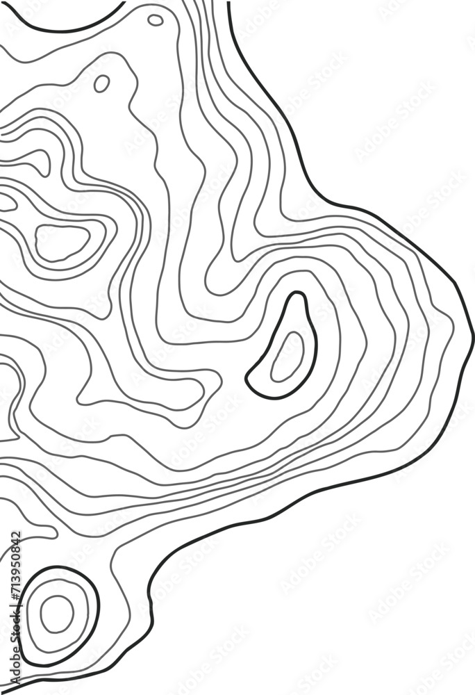 Obraz premium Topographic Map Lines