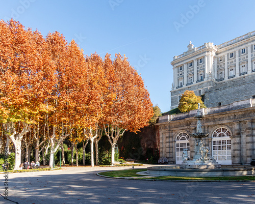 Madrid, Spain - november 19, 2023: autumn in the gardens called Campo del Moro on the banks of the Mnazanares river in Madrid, Spain