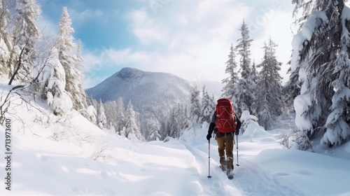 Mountaineer backcountry ski walking ski alpinist in the mountains. Ski touring in alpine landscape with snowy trees. Adventure winter sport.