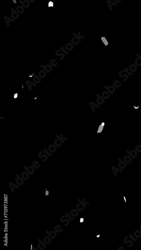 Wallpaper Mural Cherry blossom petals are falling.Transparent background.loop video.(086) Torontodigital.ca