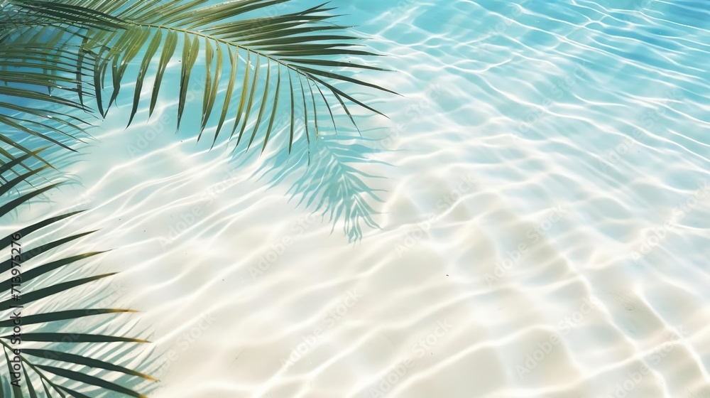 Top view of tropical leaf shadow on water surface