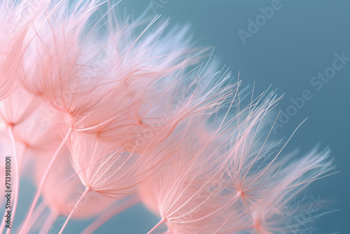 Soft White Fluff: A Delicate Dandelion Seed Blowing in the Summer Breeze, Against a Colorful Floral Background