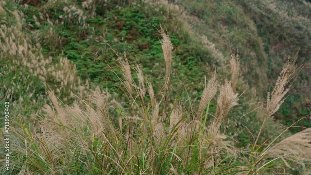 Mountain with the grass at Autumn season Mountain with the grass at Autumn season