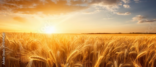 Sunset Over Wheat Field, A Serene and Picturesque Countryside Landscape © Andrii