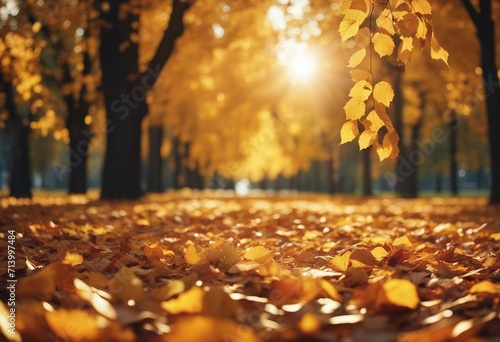 Beautiful autumn landscape with yellow leaves and sun Colorful foliage in the park Falling leaves na